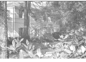 Lynn Morgan Negatives