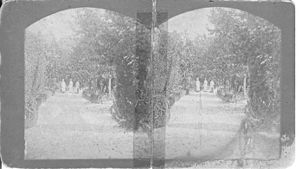 Ferrell Gardens