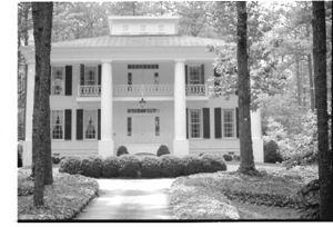 Lynn Morgan Negatives