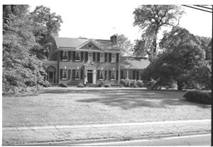 Lynn Morgan Negatives