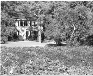 Lynn Morgan Negatives