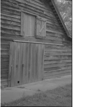 Lynn Morgan Negatives