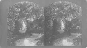Ferrell Gardens
