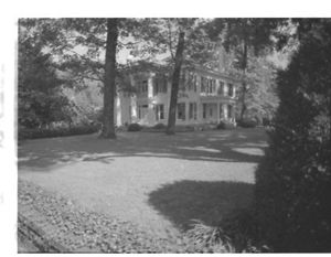 Lynn Morgan Negatives