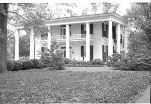 Lynn Morgan Negatives