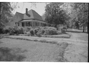 Lynn Morgan Negatives