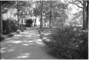 Lynn Morgan Negatives