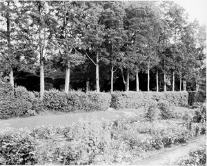 Ferrell Gardens
