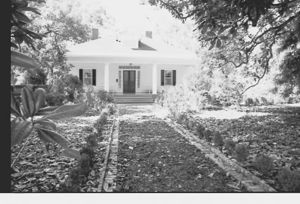 Lynn Morgan Negatives