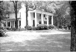 Lynn Morgan Negatives