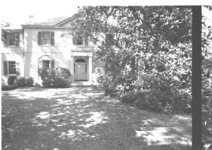 Lynn Morgan Negatives