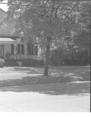 Lynn Morgan Negatives