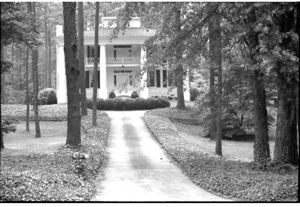 Lynn Morgan Negatives