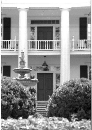 Lynn Morgan Negatives