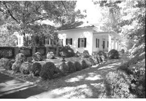 Lynn Morgan Negatives