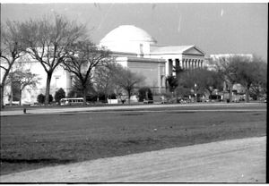 Lynn Morgan Negatives