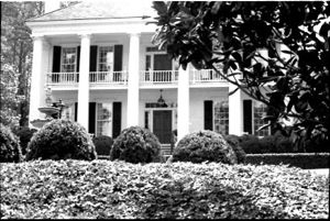 Lynn Morgan Negatives