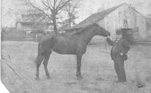 Hogansville Photos