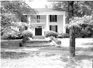 Lynn Morgan Negatives