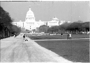 Lynn Morgan Negatives