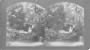 Ferrell Gardens