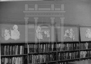 Coleman Library decorations - mice