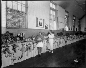 Flower Shows