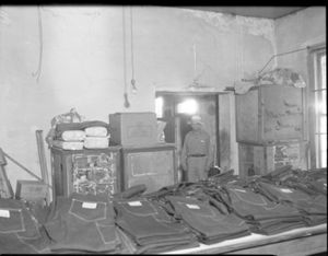 Carwell Store