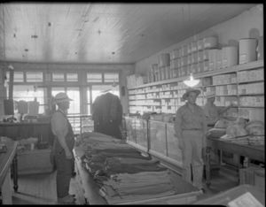 Carwell Store
