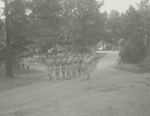 State Guard