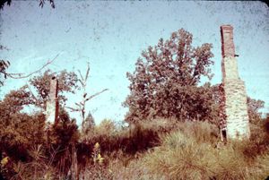 Ben Poer House Chimneys