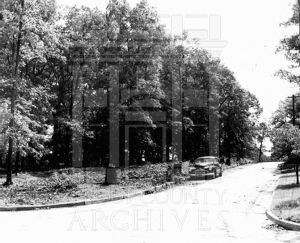 Coleman Library site