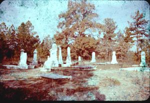 Johnnie Higgins Cemetery