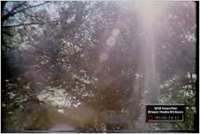 Police Searched Woods for Child Molester Who Attacked a Young Boy