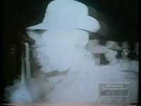 MILITARY TROOPS OF UNNAMED FEDERATION CELEBRATE (1961)