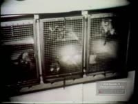 MONKEY MAN'S ROCKET LAUNCH (NO DATE)