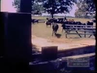 DROUGHT EFFECTS THE CONDITIONS OF GEORGIA FARMERS