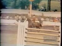 STEEPLE CHASE; BASEBALL GAME; SOCCER PLAYER; FALCONS COACH; ALL STAR QUARTERBACK