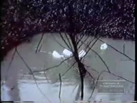 BAD WEATHER CAUSES ROAD ACCIDENTS AND FLOODING
