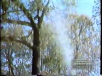 TREES SPRAYED TO PROTECT THEM FROM DESTRUCTIVE INSECTS