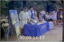 Large Outdoor Antique and Craft Show