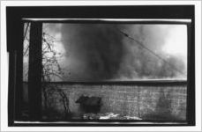 Bradley Street cotton warehouse fire, February 18, 1937