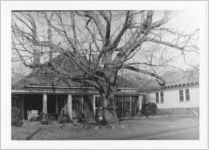 East Center Street, undated