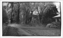 Dixie Street, undated