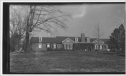 Maple Street, undated