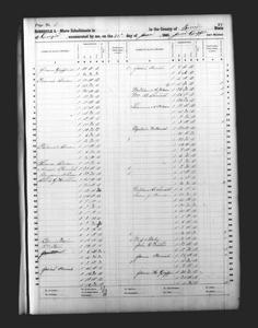 1860 Federal Slave Schedule - Berrien County, Georgia