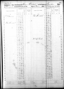 1860 Federal Slave Schedule - Camden County, Georgia