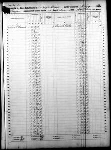 1860 Federal Slave Schedule - Clay County, Georgia