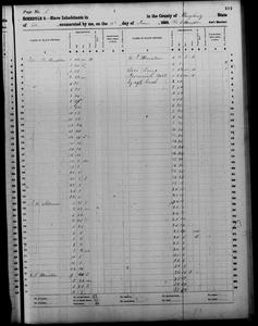 1860 Federal Slave Schedule - Dougherty County, Georgia