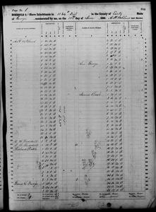 1860 Federal Slave Schedule - Early County, Georgia